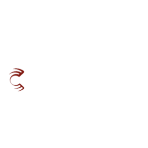 premium-corpus-sigorta